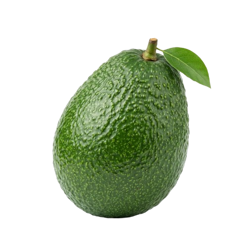 Palta