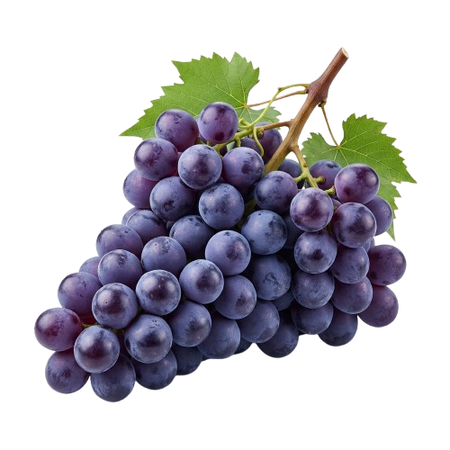 Uva